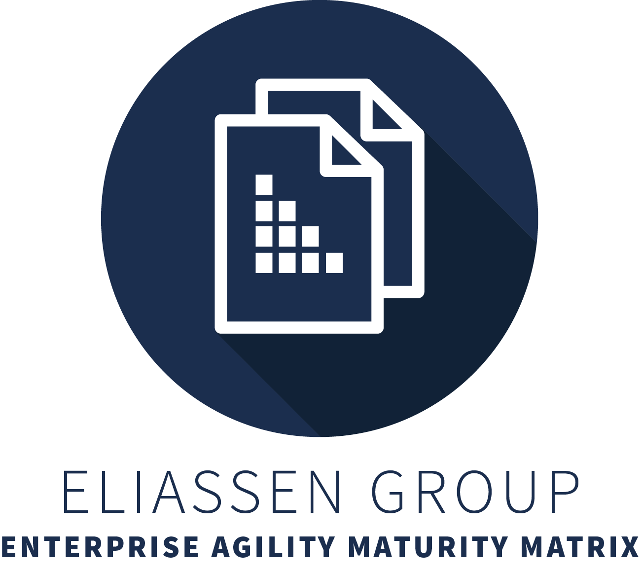 Eliassen Group Enterprise Agility Maturity Matrix